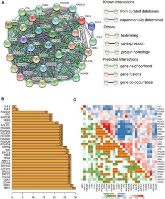 Analysis of Omics Data Reveals Nucleotide Excision Repair-Related Genes Signature in Highly-Grade Serous Ovarian Cancer to Predict Prognosis